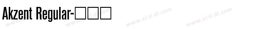 Akzent Regular字体转换